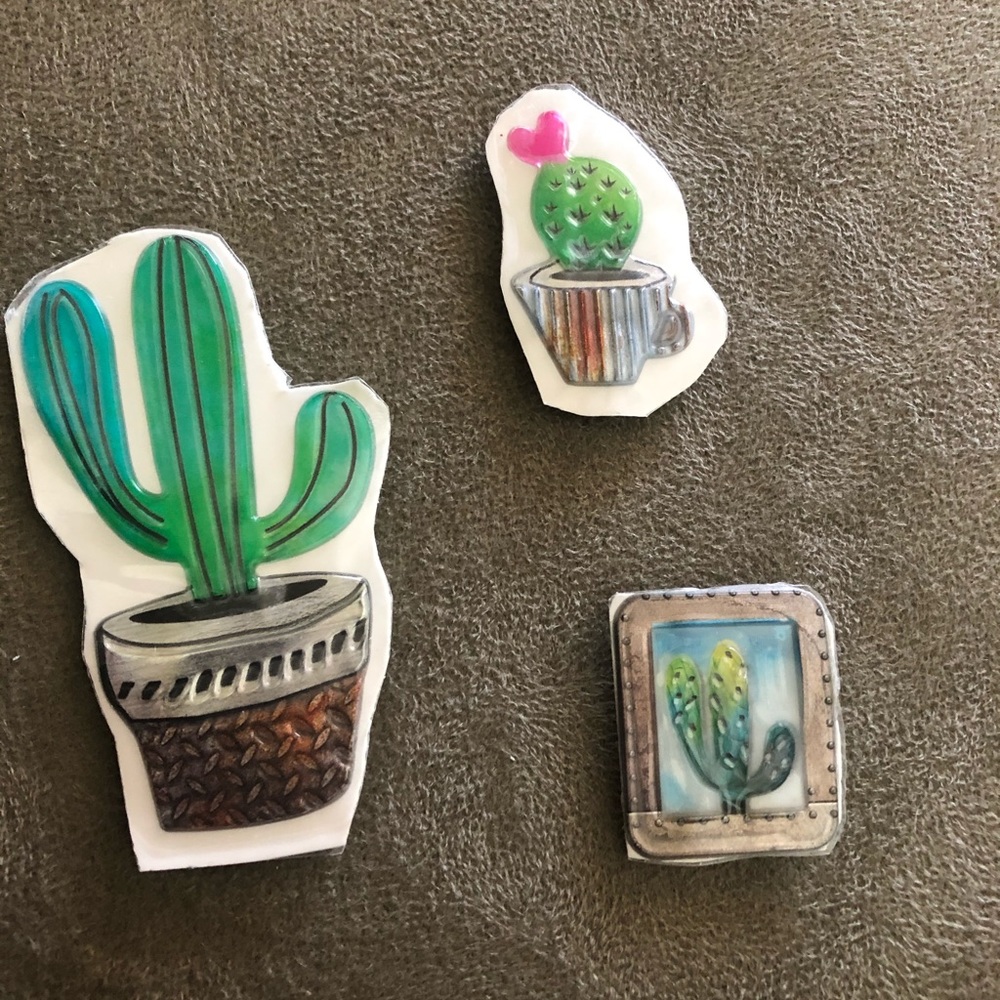Succulent magnet set - Picture 6 of 6
